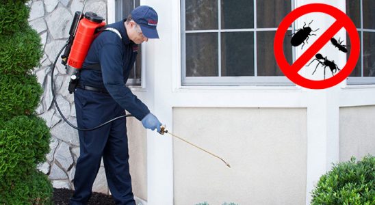 Merzifon Bit İlaçlama böcek ilaçlama ve haşere kontrolü — ilaclama-tr.com